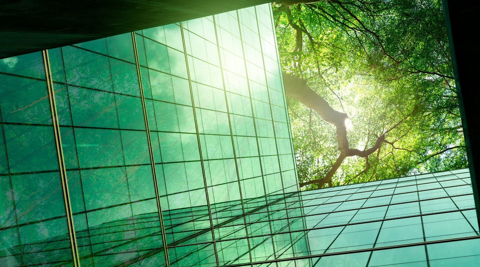 os melhores fundos esg para investir no brasil em 2026